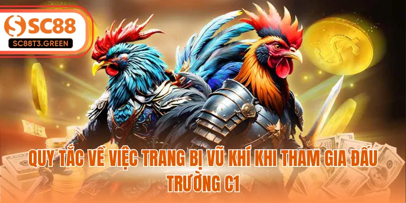 Quy tắc về việc trang bị vũ khí khi tham gia đấu trường c1